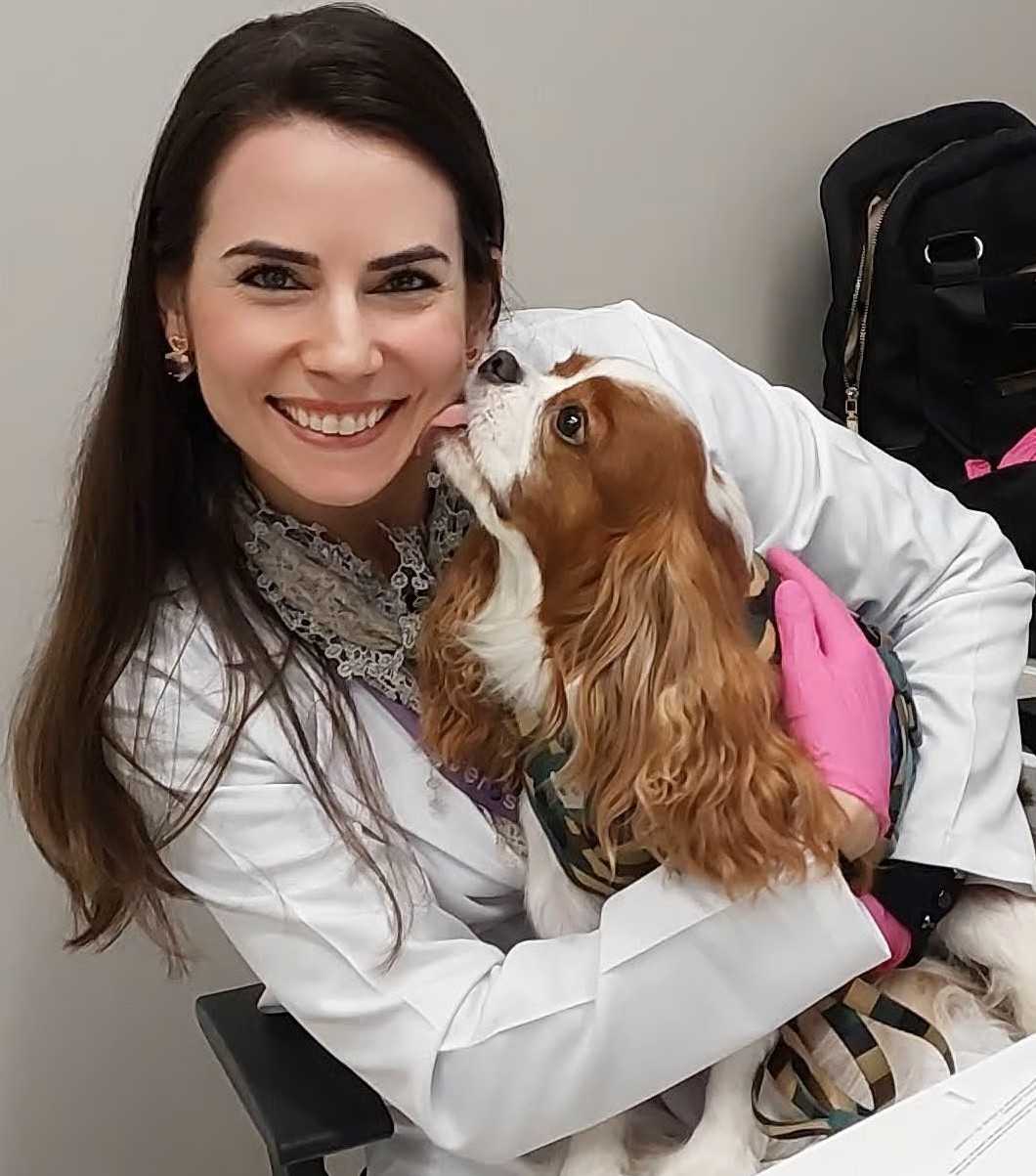 Oncologia Veterinária Landing Hero Top Image